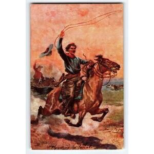 The Wild West The Lariat Postcard Raphael Tuck Horse Cowboy Harry Payne Art 2630